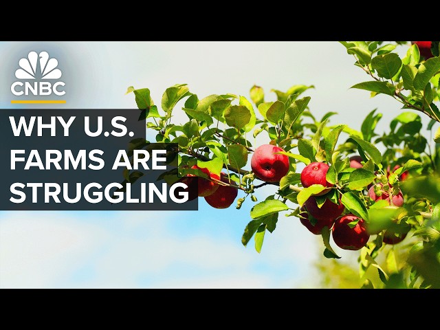 ⁣Why The U.S. Isn’t Growing Enough Food