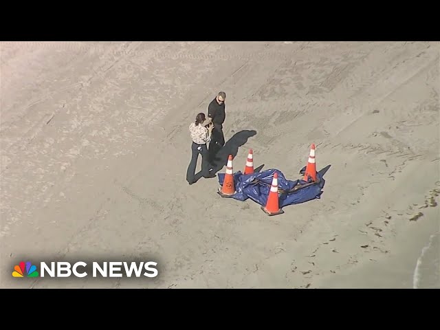 ⁣Human head that washed up on South Florida beach belongs to missing swimmer