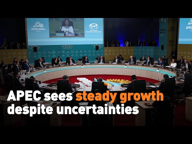 ⁣APEC sees steady growth despite uncertainties