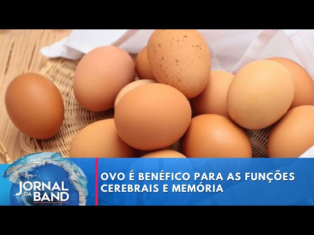 ⁣Ovo é benéfico para as funções cerebrais e memória, diz estudo | Jornal da Band