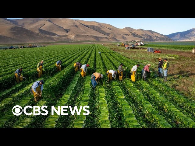 ⁣New book from famed photographer focuses on the forces behind the global food chain