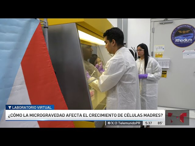 ⁣Experimento de estudiantes de RUM llega al espacio