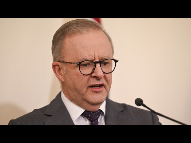 ⁣‘Cooked the books’: Albanese government’s energy plan to cost ‘half a trillion more’