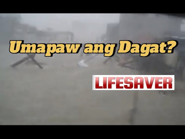 ⁣STORM SURGE: Mala-Tsunaming tubig mula sa dagat. LIFESAVER Nov. 17, 2024