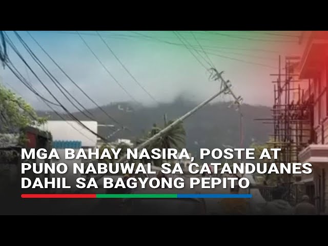 ⁣Mga bahay nasira, poste at puno nabuwal sa Catanduanes dahil sa bagyong Pepito