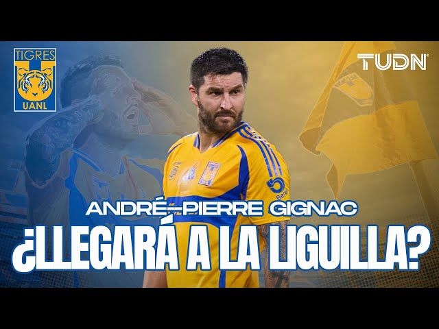 ⁣¿SE PIERDE LA LIGUILLA? ¡El reporte médico de Gignac rumbo a la Fiesta Grande! | TUDN