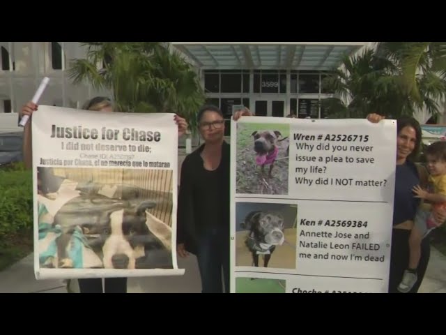 ⁣Animal advocates, community members protest Doral shelter for lacking compassion and transparency