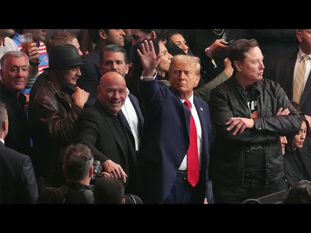 ⁣‘Received like a king’: Donald Trump's surprise UFC appearance