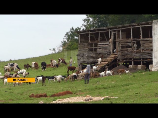 ⁣Meet Hajji Isaac Mulindwa Makinawa whose love for animals is unique