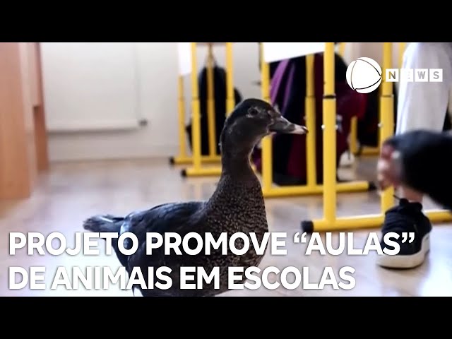 ⁣Projeto promove "aulas" de animais em escolas da Romênia