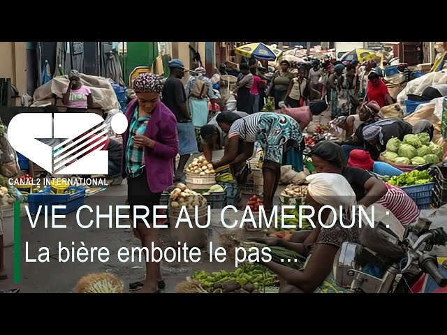 ⁣[REPLAY ]COMEDIE PRESSE : EXTREME NORD : Comment boko haram resurgit ?