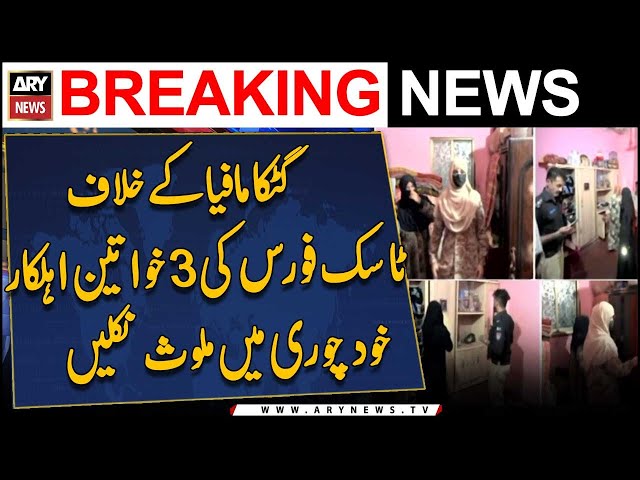 ⁣Three female task force officials against the Gutka mafia were caught stealing