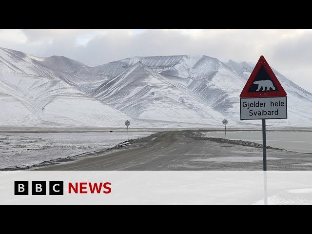 ⁣Svalbard: How an Arctic archipelago is moving towards clean energy | BBC Click