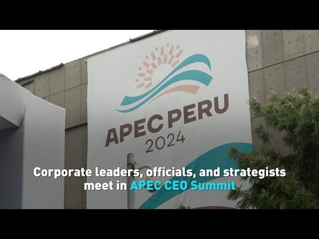 ⁣Corporate leaders, officials, and strategists meet in APEC CEO Summit