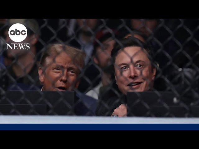 ⁣Trump attends UFC 309 in New York City