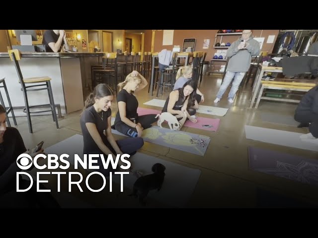 ⁣Puppies meet yoga at Farmington Hills business for unique adoption experience