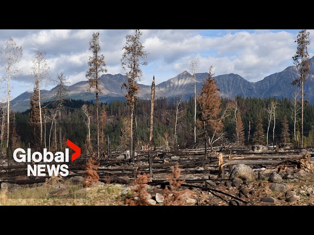 ⁣Jasper wildfire: Parks Canada employees rushing to clean up campgrounds before bookings open