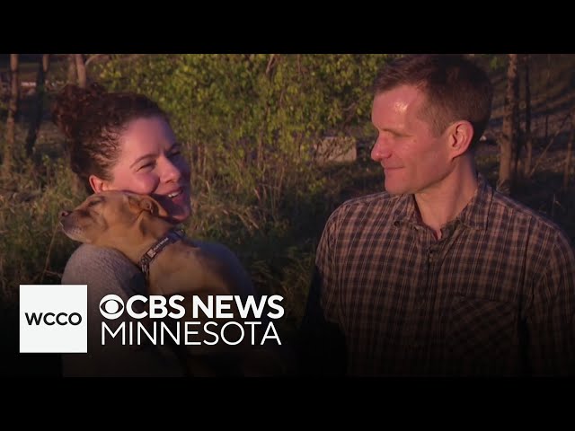 ⁣Stray Minneapolis dog finds a new home