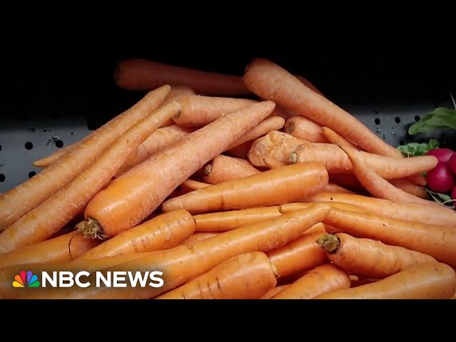 ⁣E-Coli outbreak in select organic carrots kills one