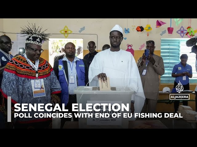 ⁣Senegal parliamentary election: Snap poll coincides with end of EU fishing deal