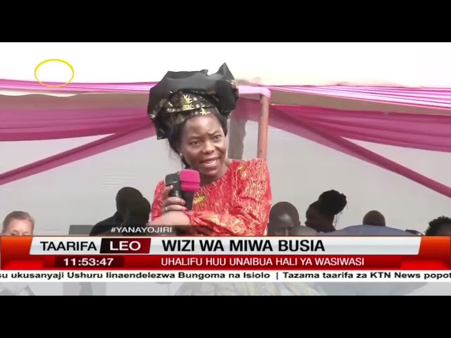 Wizi wa miwa Busia: Visa vya wizi wa miwa waongezeka Busia