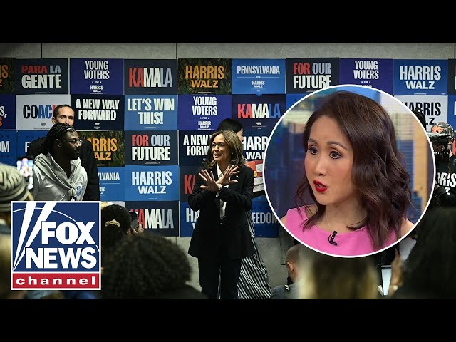 ⁣Harris Staffer Shares Shocking Details Inside Failed Campaign | Will Cain Show