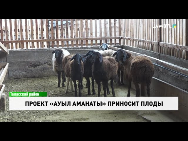 ⁣Проект «Ауыл аманаты» приносит плоды