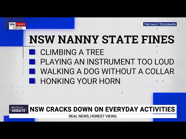 ⁣‘Raked-in’: New South Wales’ nanny state fines