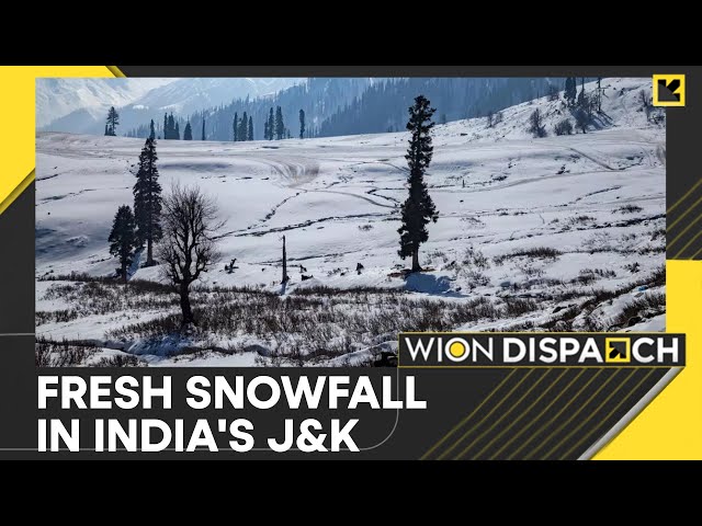 ⁣India: Places Like Gulmarg, Higher Reaches of North Covered in Snow | WION Dispatch