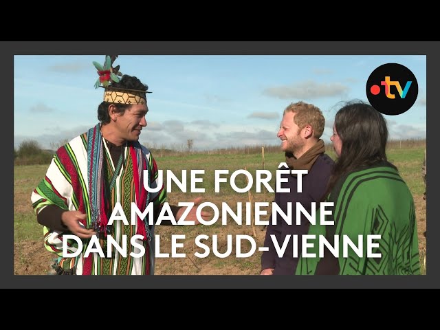 ⁣Des jeunes, gardiens de la forêt, avec un chef amazonien