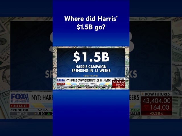 ⁣Kamala Harris campaign spent $1.5 billion in just 15 weeks, New York Times reports #shorts