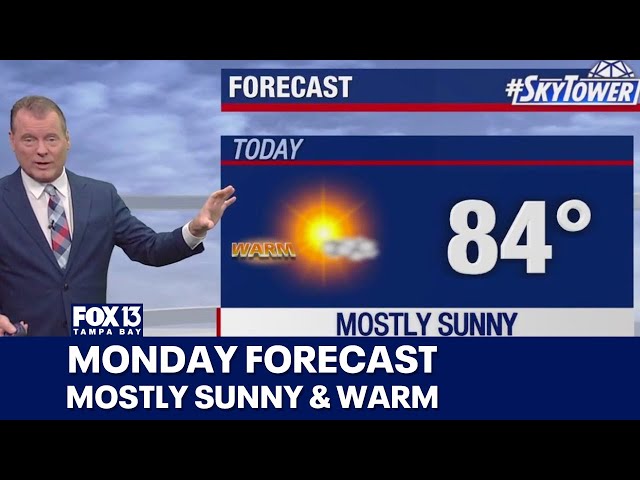 ⁣Tampa weather | Mostly sunny & warm