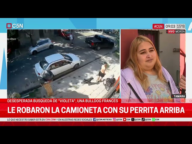 ⁣DESESPERACIÓN en MORÓN: le ROBARON la CAMIONETA con su PERRITA ARRIBA