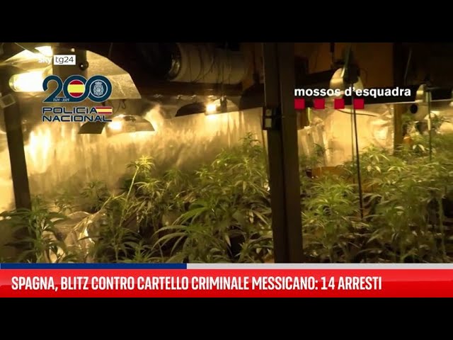 ⁣Spagna, blitz contro cartello messicano: 14 arresti