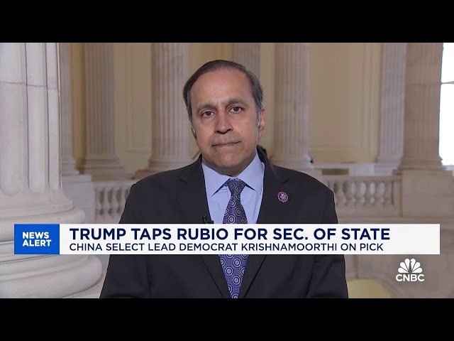 ⁣China strategy will see a lot of continuity between administrations, says Rep. Raja Krishnamoorthi