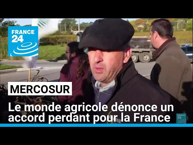 ⁣Mercosur : le monde agricole dénonce un accord perdant pour la France • FRANCE 24