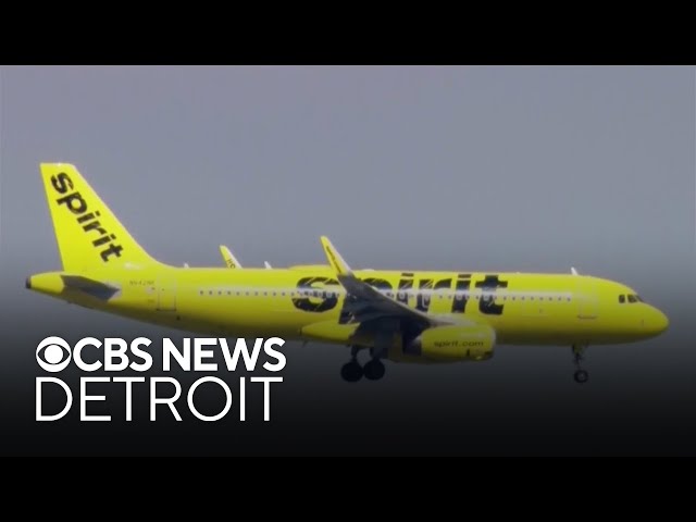 ⁣Spirit Airlines files for bankruptcy protection