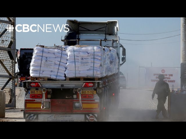 ⁣Convoy of aid trucks violently looted in Gaza, UN agencies say