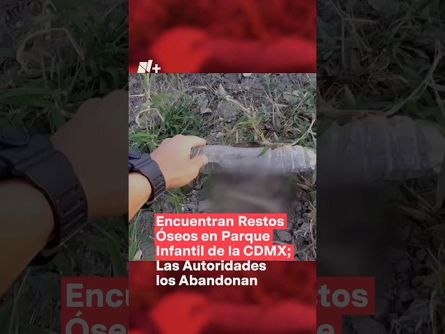 ⁣Denuncian que nadie se hace responsable de restos óseos encontrados en CDMX - N+ #shorts