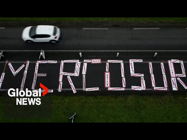 ⁣France farmer protests: EU-Mercosur trade talks rekindle anger in agricultural sector