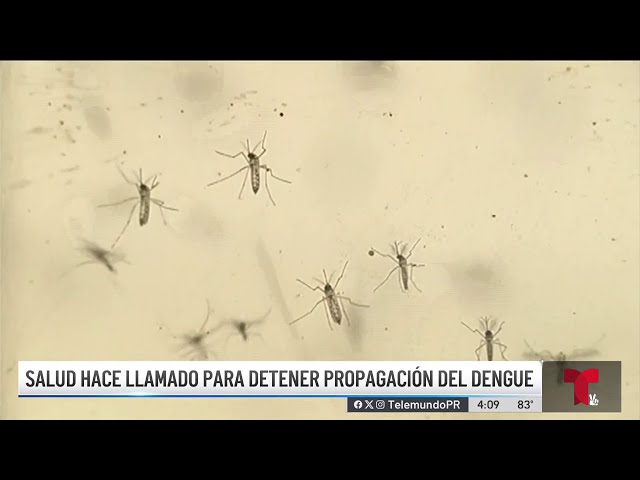 ⁣Se triplican los casos de dengue en Puerto Rico