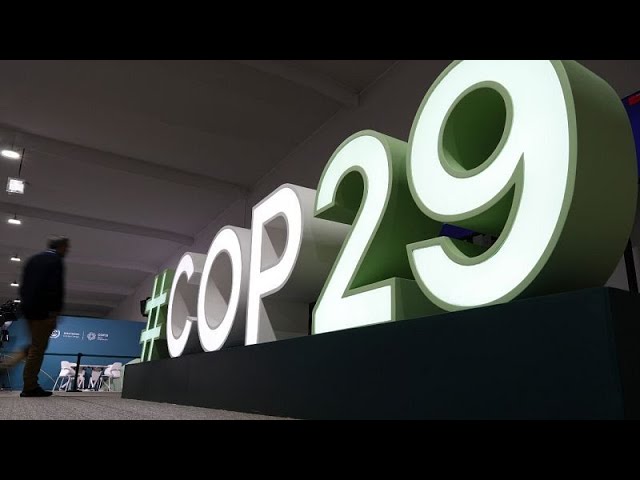 ⁣Defeating its purpose? Fossil fuel lobbyists accompany European governments to COP29