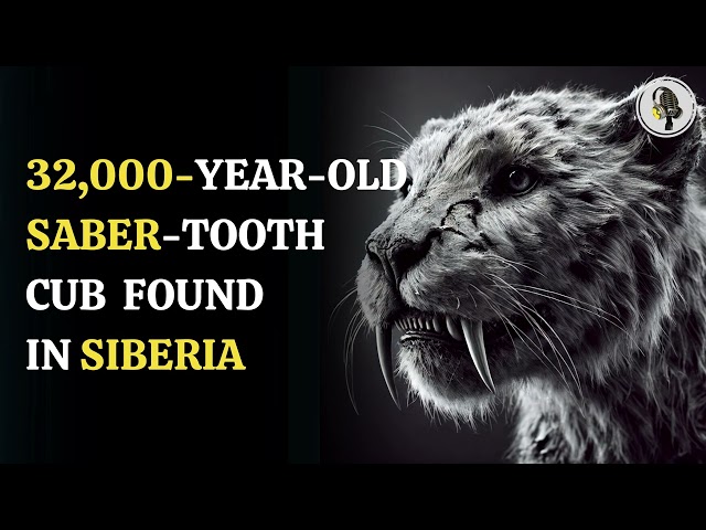 ⁣32,000-Year-Old Saber-Tooth Cat Cub Found in Siberian Permafrost | WION Podcast