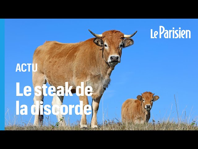 ⁣La viande de boeuf brésilienne va-t-elle bloquer la France ?