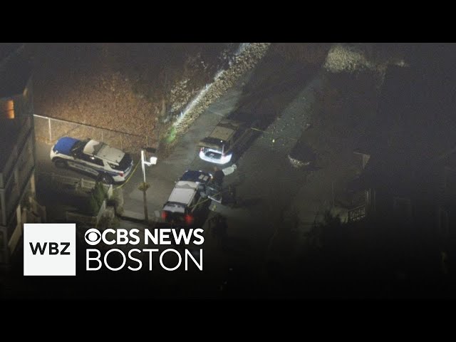 ⁣1 person in hospital after dog attacks 3 people in Boston