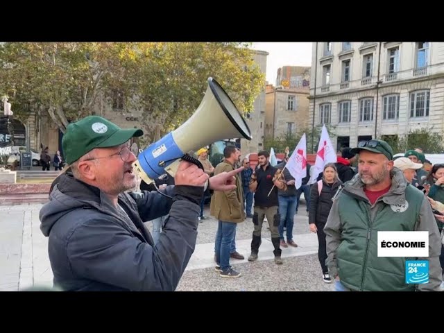 ⁣G20 : Mobilisation du monde agricole français contre l'accord UE / Mercosur • FRANCE 24