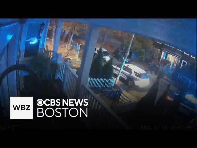 ⁣Police shoot dog after it attacks 4 people, including 2 officers in Boston