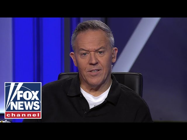 ⁣Greg Gutfeld: Democrats continue to bicker and backstab one another