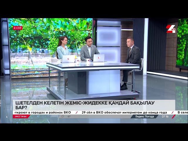 ⁣Сарапшы пікірі. Шетелден келетін жеміс-жидекке қандай бақылау бар?