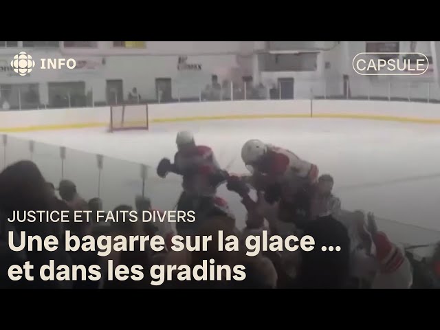 ⁣Une bagarre sur la glace... et dans les gradins